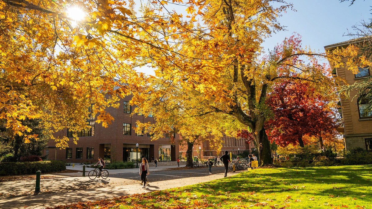 Three buildings on campus slightly blocked by large trees filled with orange and red leaves. There are students walking on the side walks and a student is riding their bike through the road between the buildings. 