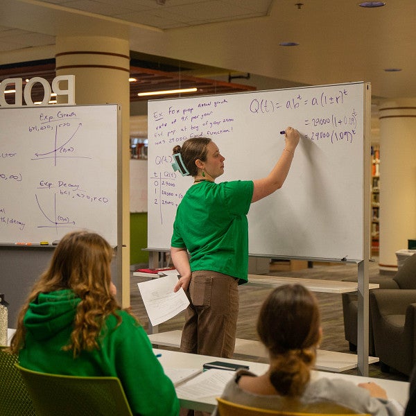 tutor gives presentation to students in TAEC in knight library