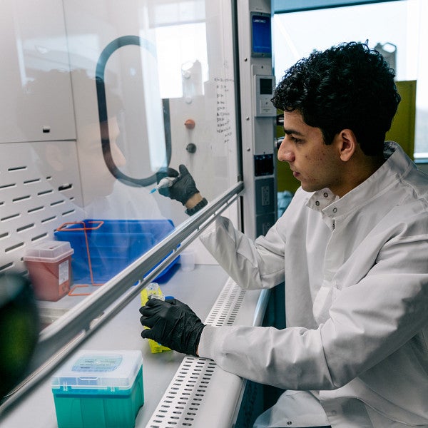 armaan hajarizadeh works in lab