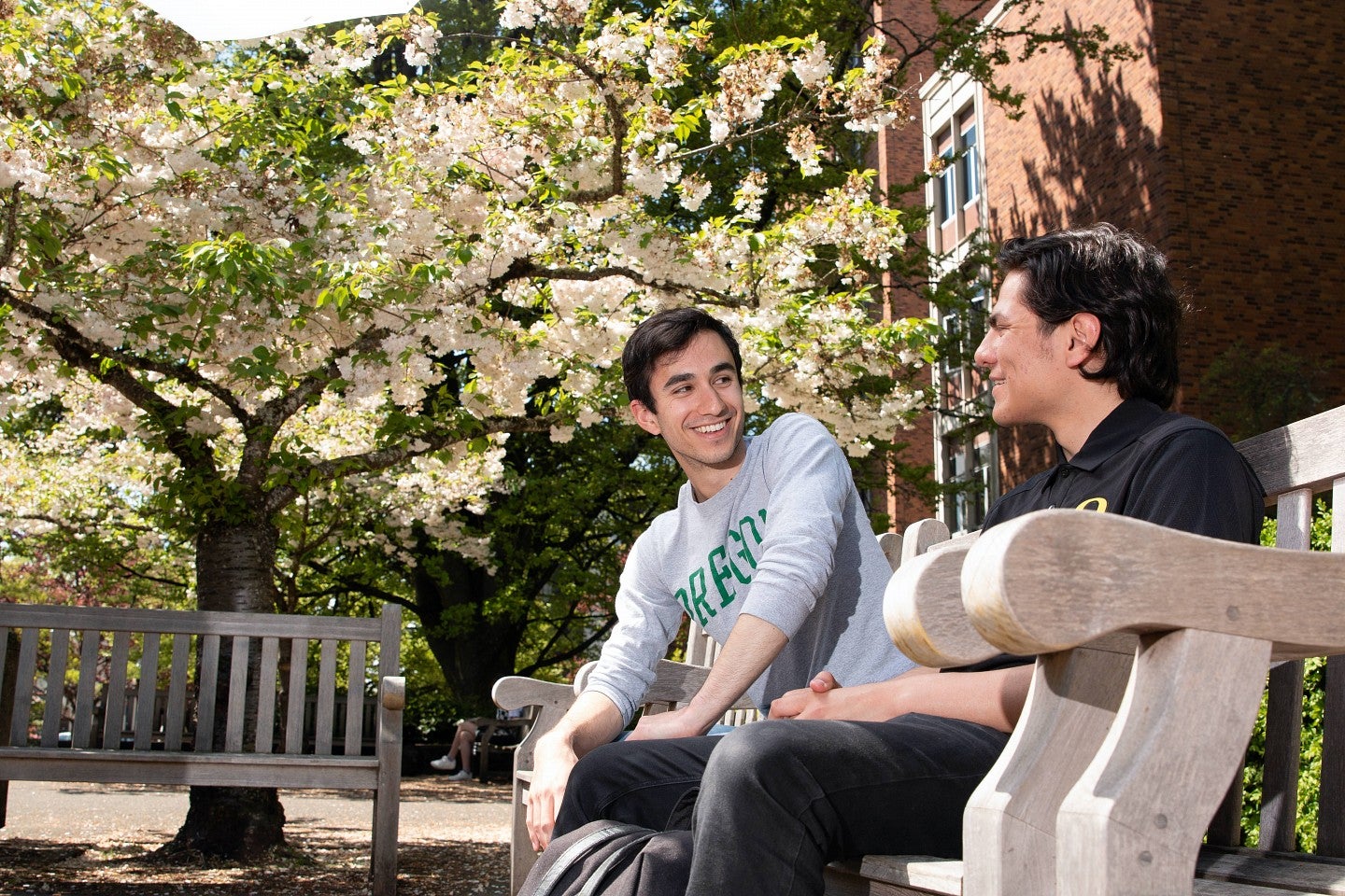 Two male students sitting on a wooden bench outside the Knight Library with a tree in the background that has white flowers blooming.