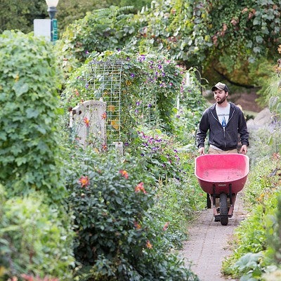 The UO Urban Farm The UO Urban Farm